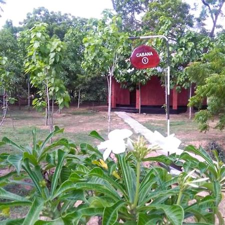 Lavish Eco Jungle Hotel Tissamaharama Eksteriør billede