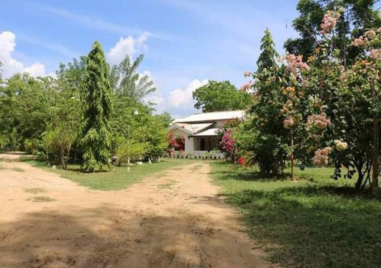 Lavish Eco Jungle Hotel Tissamaharama Eksteriør billede
