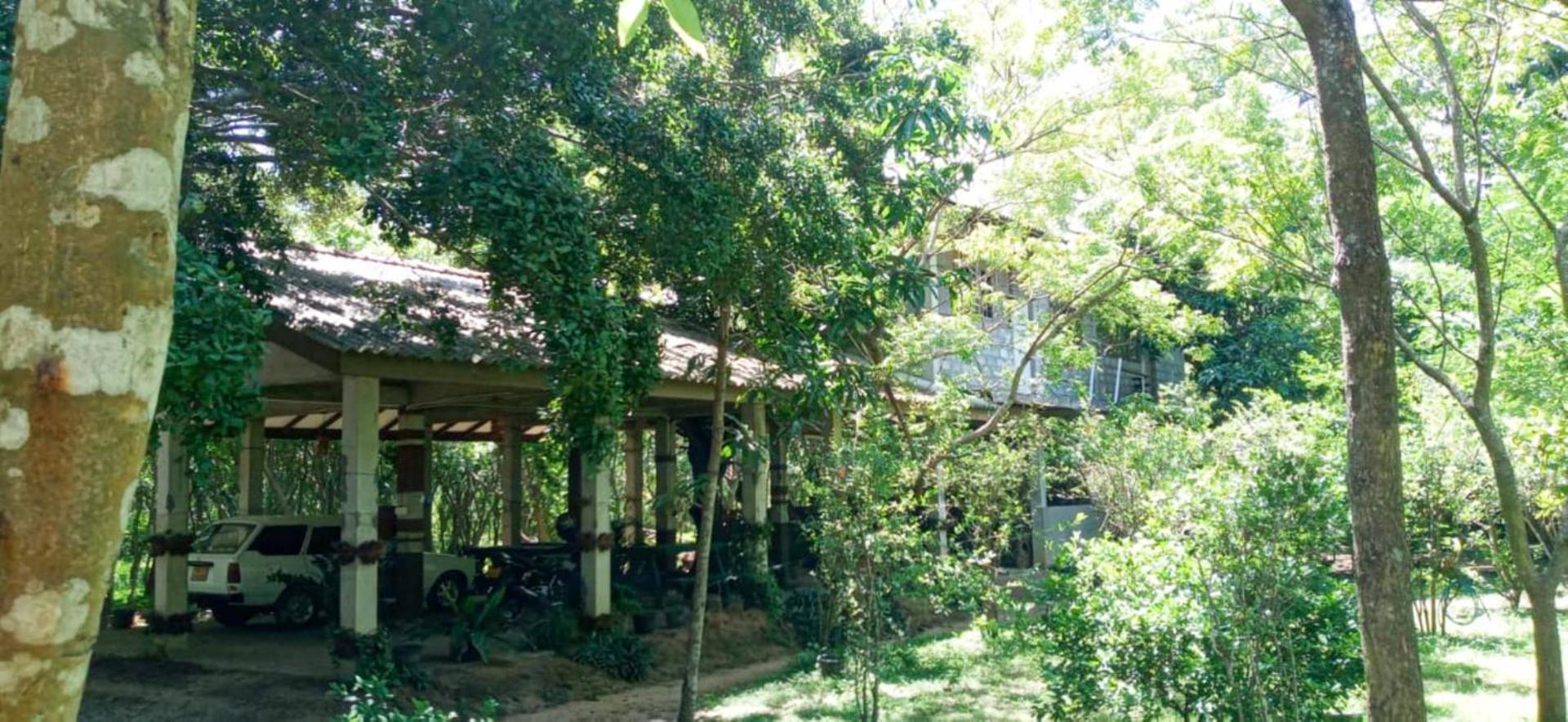 Lavish Eco Jungle Hotel Tissamaharama Eksteriør billede