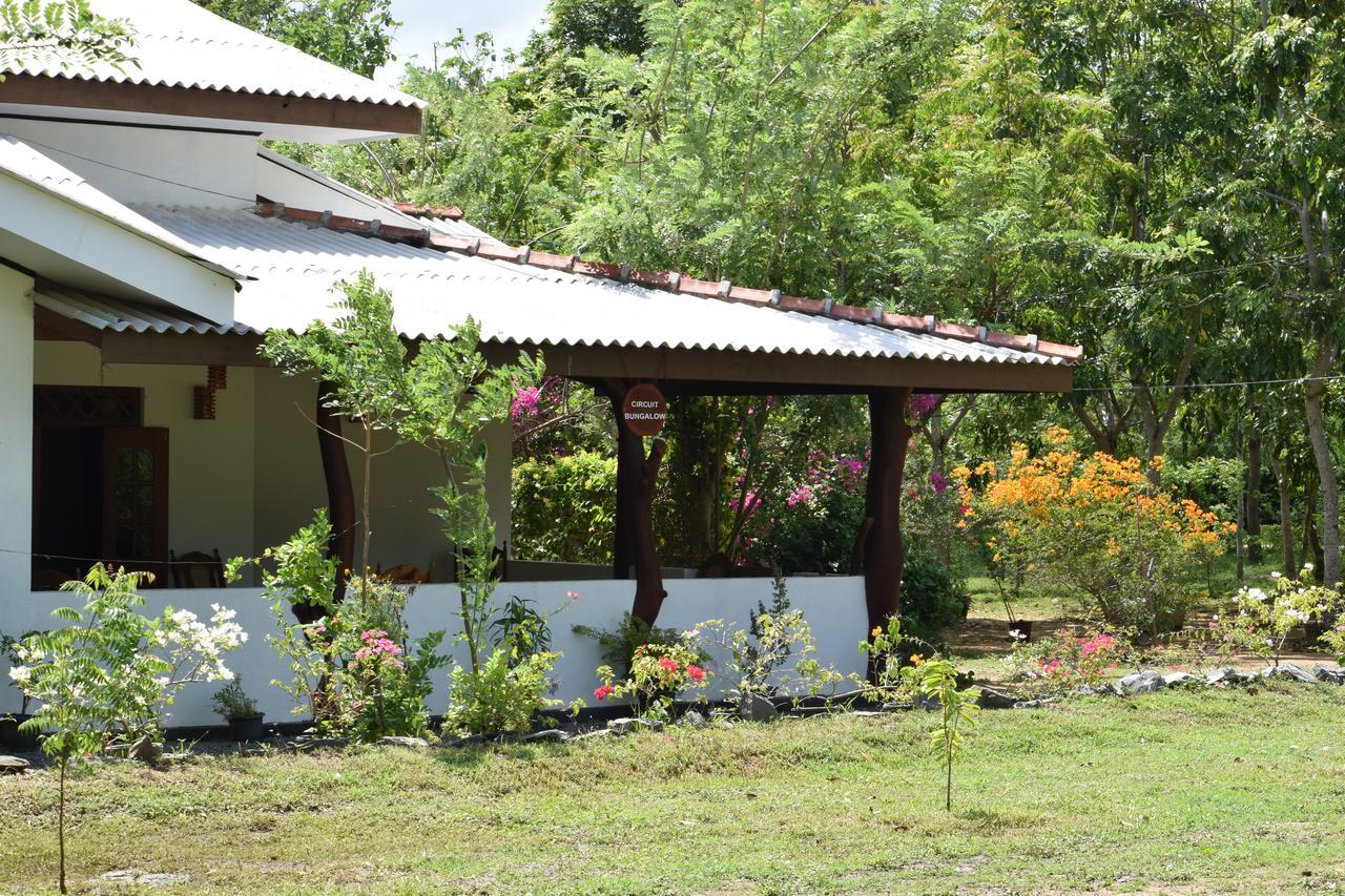Lavish Eco Jungle Hotel Tissamaharama Eksteriør billede